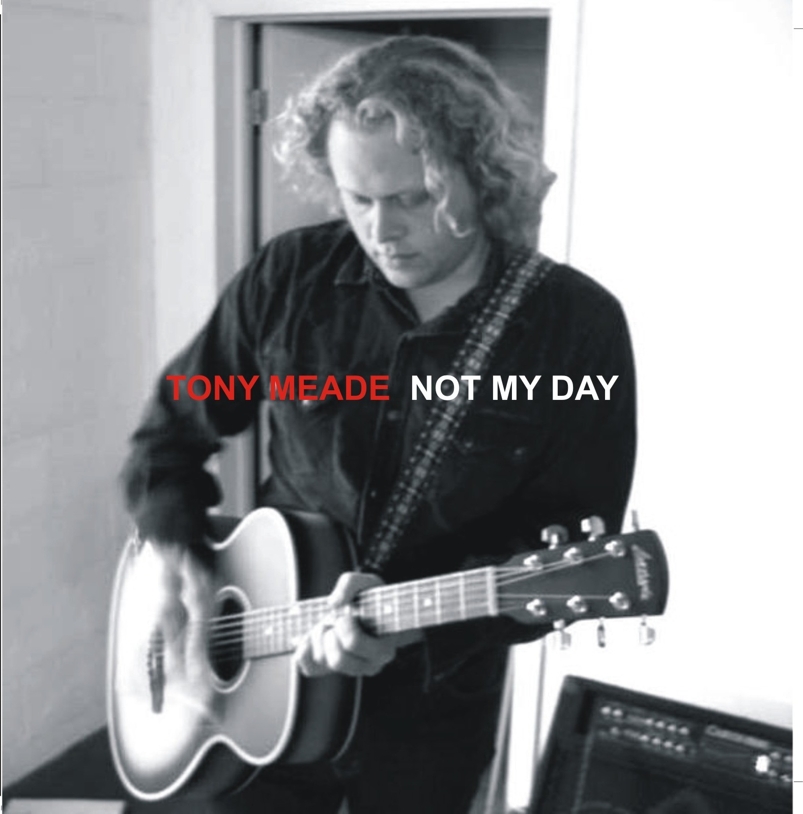 Tony Meade image