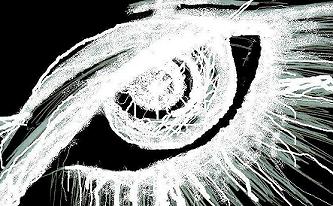 Cottonseed image