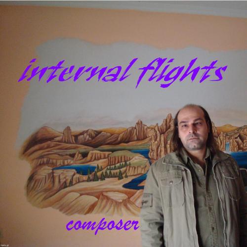 internal flights image